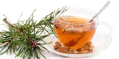 tincture of pine buds cervical osteochondrosis