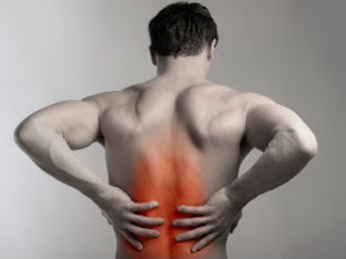 the pain in my back